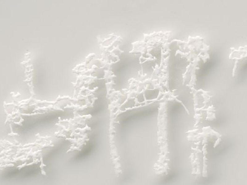 Duet, Dina Shenhav and Tal Amitai-Lavi TheHeder Gallery, Tel-Aviv, January - February 2011