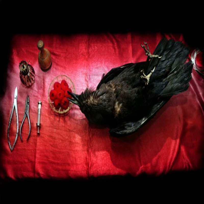 Surgery room | Eran Gilat, Rani Sasson, Keren Yeala-Golan