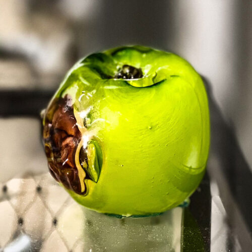 יאנה מיטניק, סדרת פירות, 2023, פיסול בזכוכית חמה, עבודה קרה.צילום: באדיבות האמנית